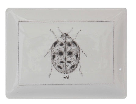 Dish With Lady Bug