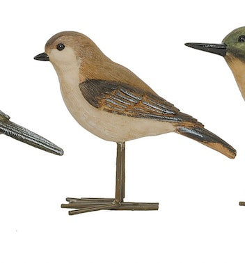 Golden Finch