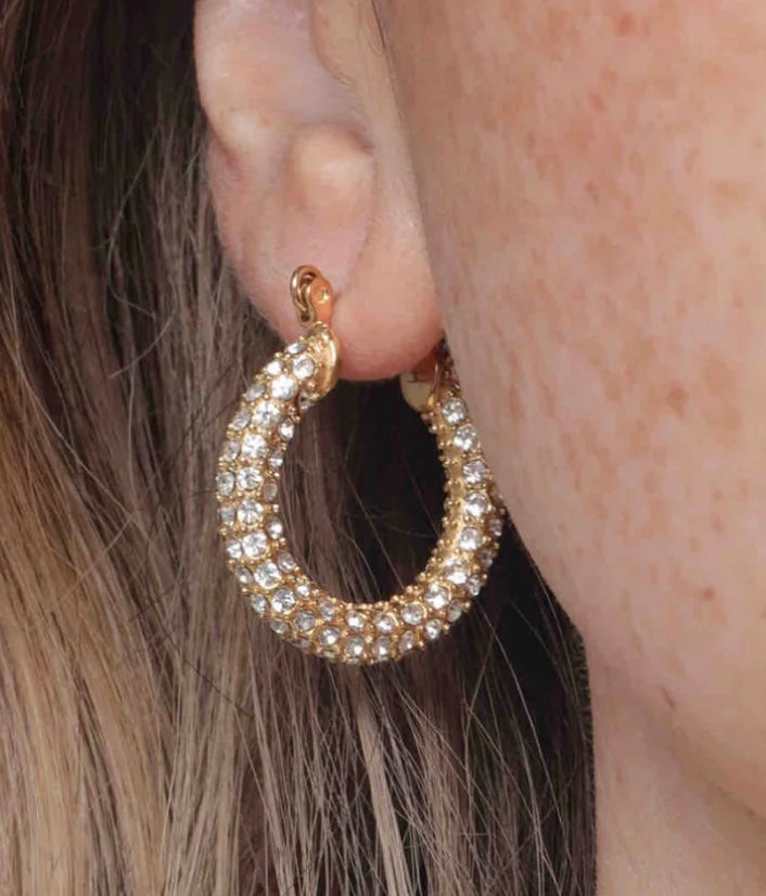 Audrey Hoops Pave