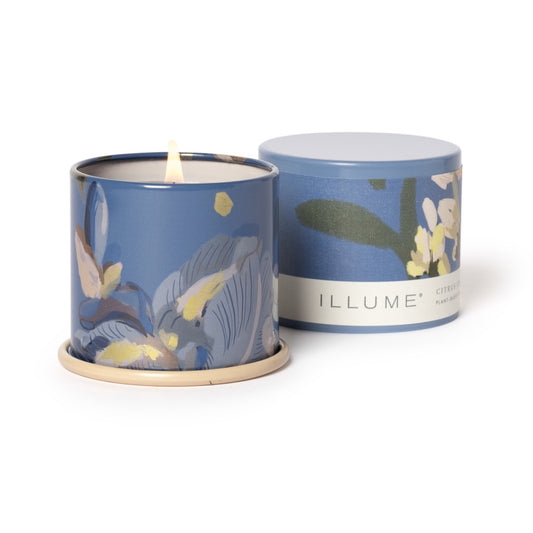 citrus crush demi vanity tin candle