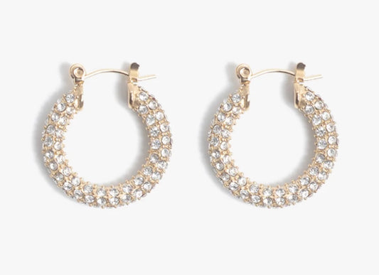 Audrey Hoops Pave