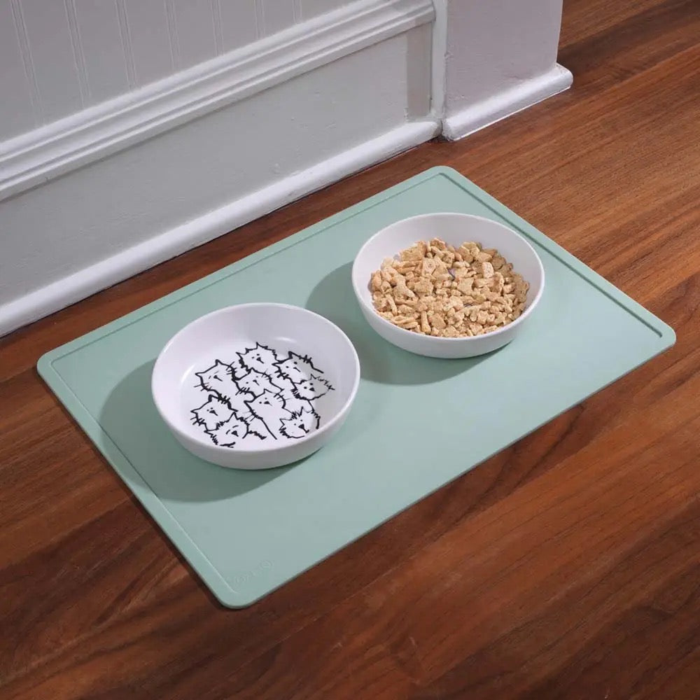 Random Cat Dish/Bowl